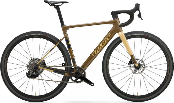 Rave SL Campagnolo Ekar