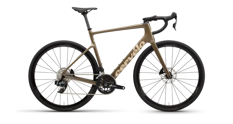Caledonia Rival  AXS