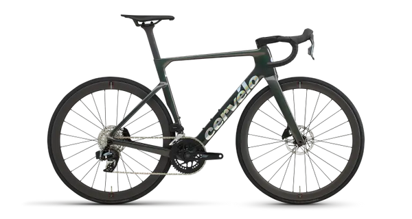 Soloist Rival  AXS