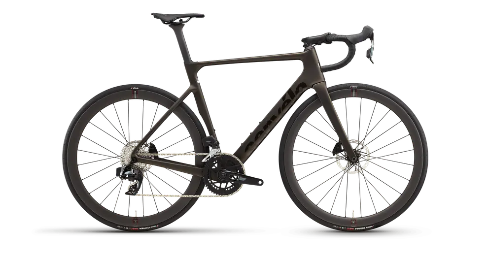 Soloist Rival  AXS
