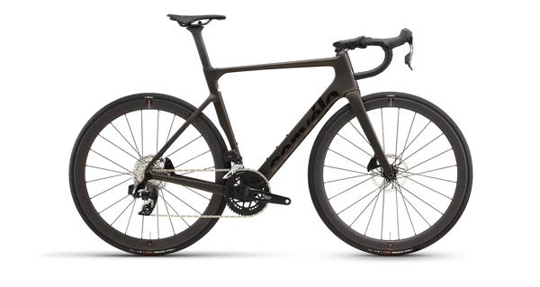 Soloist Rival  AXS